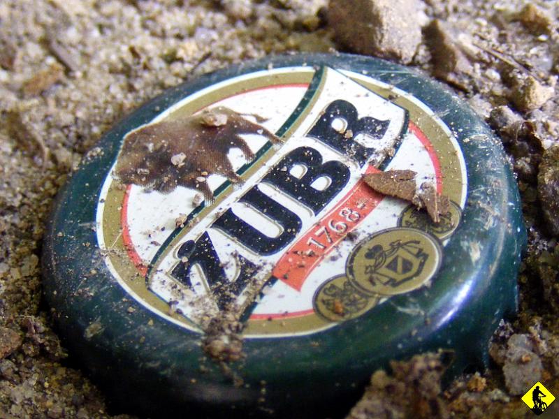 4.jpg - Na szczycie zwariowałem… zobaczyłem Żubra…