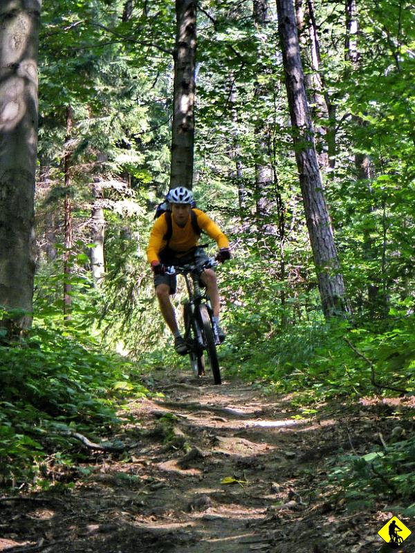 95.jpg - OGIEŃ! Cieżko powiedzieć, które pasemko fajniejsze. Oba są bardzo fajne. Nielegal i krzyczący robotnicy „mandacik” w Wątkowskiej, czy winda w schronisku na Małastowskiej? Prawda jest taka: Niski ma w sobie to coś!