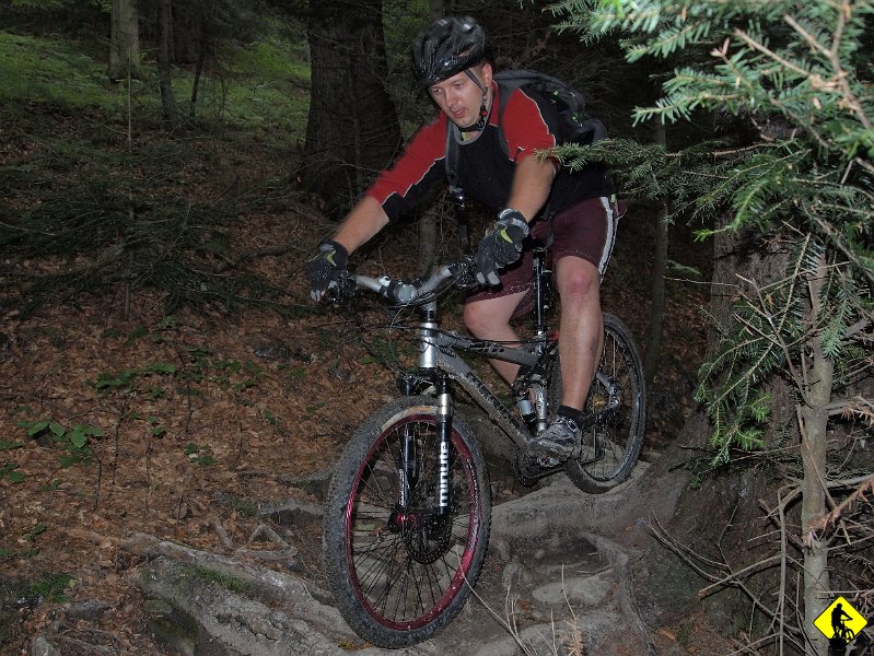 10.jpg - Pod koniec za jednym z nawrotów są progi podmyte przez wodę utworzone z korzeni.