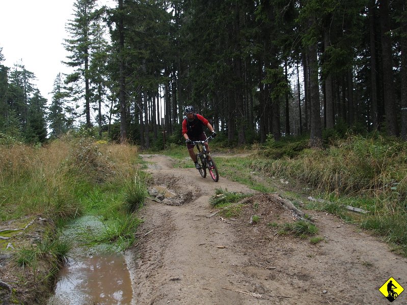 12.jpg - Z Tobołowa bujanko w stronę Turbacza to już właściwie formalność, choć nie jest to 5min :)
