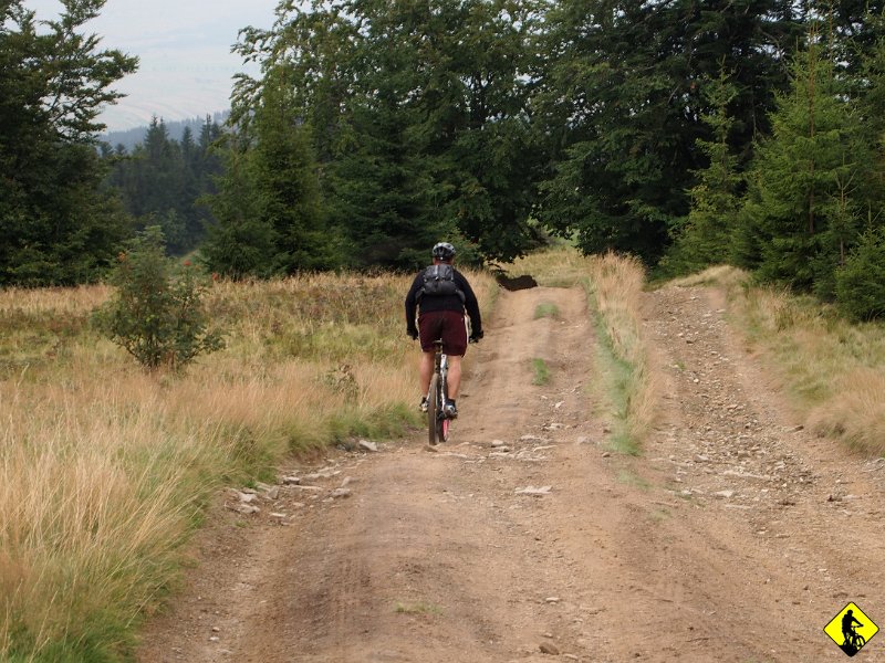 15.jpg - No to co? No to ogień! Zjazd do Kowańca i właściwie to by było na tyle. Kolejny dzień na plus.