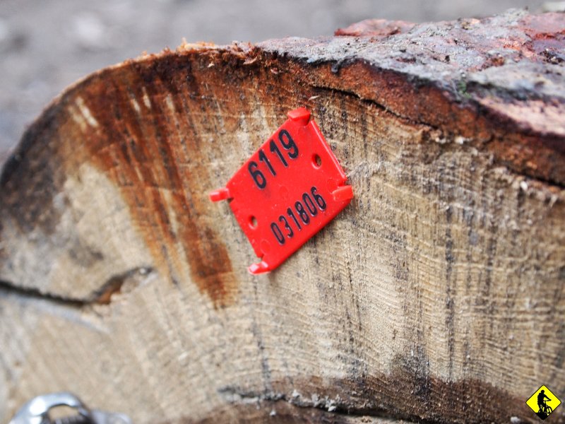 4.JPG - Cały dzień zapowiadał się wilgotny i dość chłodny…