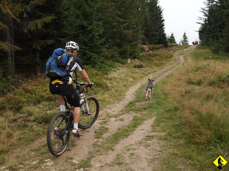 5.jpg - Podjazd dobrze znany, za każdym razem wydaje się coraz dłuższy. Może to dlatego, że jestem coraz starszy i muszę więcej dać od siebie? Tu kundel wrócił z turystami widocznymi wyżej. Zdrajca.