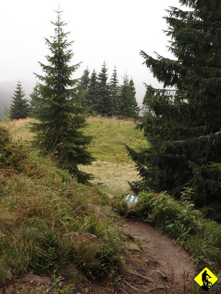 9.jpg - Po spokojnym początku i technicznej ścianie, tworzy się ścieżka która prowadzi aż do ostrych schodów i kilku ciasnych 180stopniowych nawrotów.