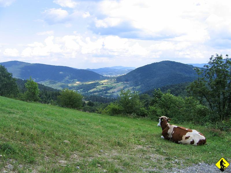 IMG_3691.jpg - Końcówka drogi do Obserwatorium jest nieprzyjemna, bo po nieutwardzonych  kamieniach różnej granulacji. Ktoś chyba nie pomyślał, że to może być pomyłką dla tych co uprawiają inną niż „samochodową” turystykę.