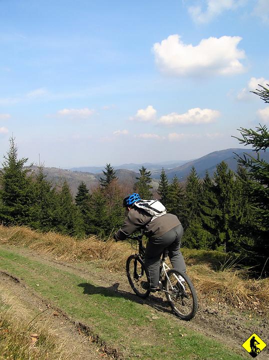 P4130100.jpg - Czas ruszać. Mijamy czerwony szlak w stronę Przełęczy Kocierskiej, w który to powinniśmy skręcić.  Zaliczamy bardzo fajny i ostry zjazd, by potem zostać uświadomionym przez sympatyczną panią z psem, że nazywał on się "Dusiciel" i musimy sie nim wrócić... pchając oczywiście