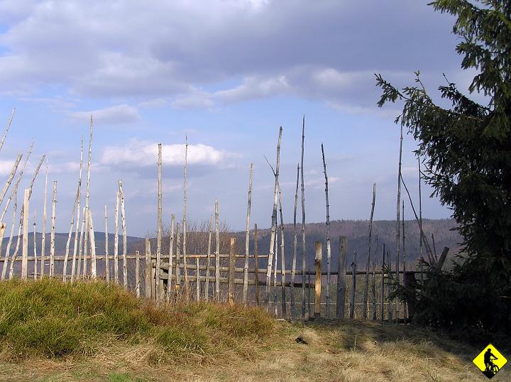 P4130152.jpg - Na Potrójnej okolica zmieniła się nie do poznania. Łąka, mnogość kolorów i zapachów...