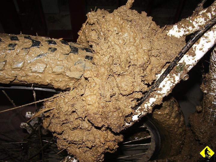 IMGP2975.JPG - Pozdrowienia z deszczowej Krynicy