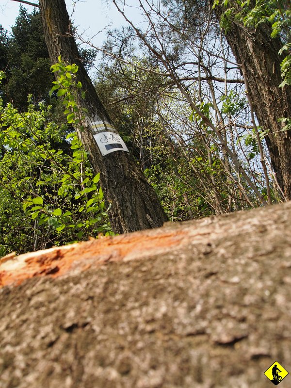 3.jpg - Teraz wreszcie wkręcimy się w okolice, gdzie będzie więcej jazdy terenem. Trochę ścieżek, trochę ubitych dróg, ciągle pagórki ( właściwie to mało było odcinków czysto płaskich). Kierunek Sucha Góra razy dwa (nie wiem dlaczego dwa szczyty – jeśli je tak w ogóle można nazwać – nazywają się tak samo :)