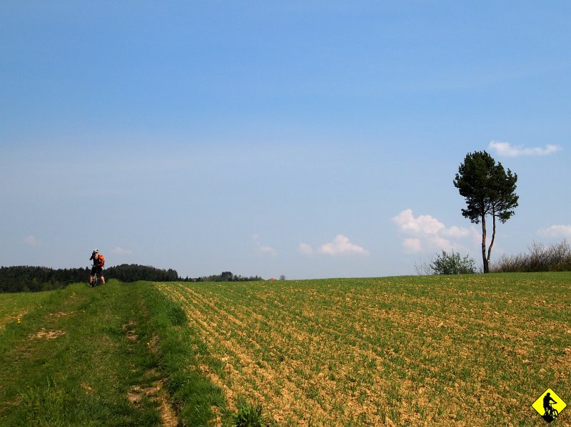 4.jpg - Oznakowanie szlaków w miarę dobre, jeśli weźmiemy pod uwagę, że zdarza się poprowadzenie ich pomiędzy polami rolnymi, co zmusza do mocnej rozkminy nad mapą.