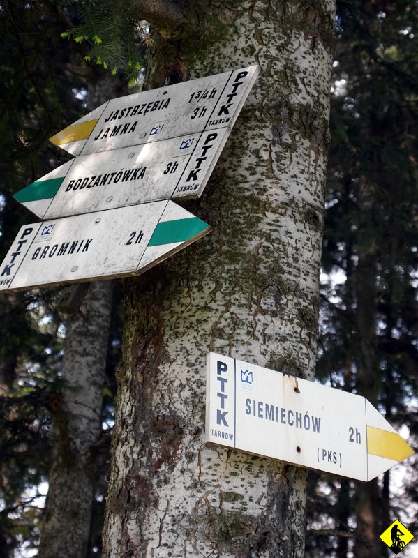 6.jpg - Druga Sucha Góra zdobyta. Łączy je małe siodło. Czeka nas zjazd do Siemiechowa ( żółty szlak prowadzi nas już z Jamnej i będzie prowadził, aż na Wał, gdzie rozpoczniemy powrót do autka). Teoretycznie mamy tam być za 2h, praktycznie logujemy się po 45min.