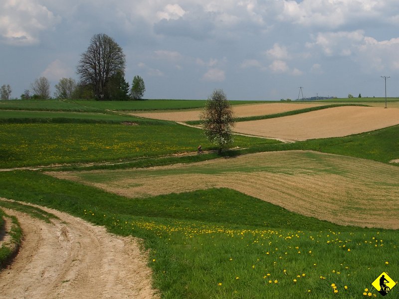 9.jpg - Owe bite drogi przypominają coś pomiędzy Niskim a Bieszczadami. Tak czy inaczej dużo jeszcze brakuje. To tak jakby porównywać pogórze Alp z Alpami :) Z tą subtelną różnicą, że w pogórzu Alpejskim występują szczyty o wysokości 2000-2300 m n.p.m.