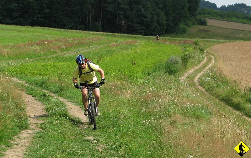 IMG_2976.jpg - Gdyby nie spore nazwijmy to asfaltowe odcinki dojazdowe, to szlak byłby naprawdę fajny. Tak to jest tylko spoko :/ (bo in minus należy też dodać te okrope piachy wdzierające się w napęd).