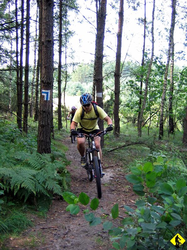 IMG_4090.jpg - Trasa poprowadzona asfaltami (głównie drogi mało uczęszczane), szutrami, ścieżkami leśnymi i pustynnymi (piach) odcinkami ( koło staje zasypane ponad obręcz).