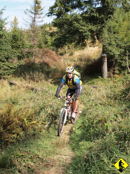 3.jpg - Polecam skrót singielkiem, jak zresztą ostatnio jak byłem z Wojtkiem Sz. Daje dużo radości, bo omija się cały kamienisty zjazd z Rogacza. Zabieram każdego, kto jeszcze nim się jeszcze nie bujał.