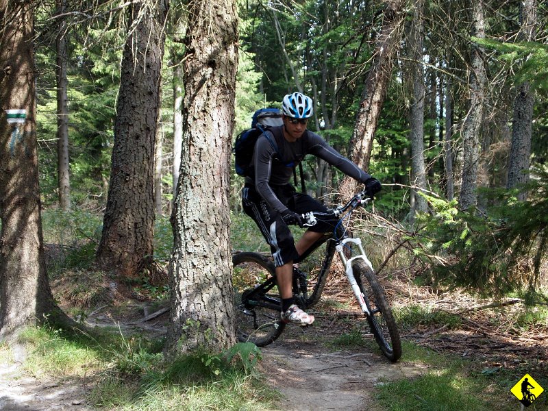 5.jpg - Decydujemy, że kręcimy na Eliaszówkę, gdzie czeka nas soczysty zjazd do Piwnicznej. Trawiaste hopki sprawią, że Dżony zaliczy upadek na dupę (jak na prawdziwego twardziela przystało, wstanie bez grymasu na twarzy) oraz zgubi swoje okulary mistrza świata :/