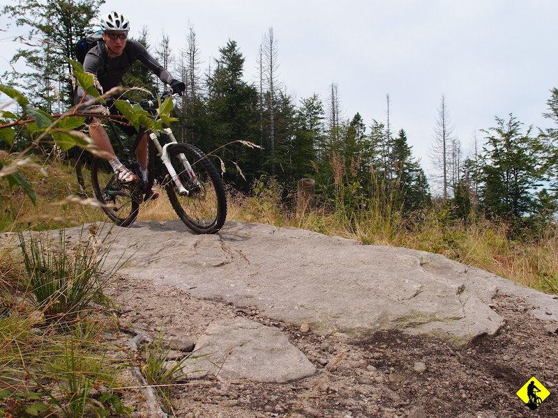 13.JPG - Michał: yyyyyy krzaczek! jego mać :)