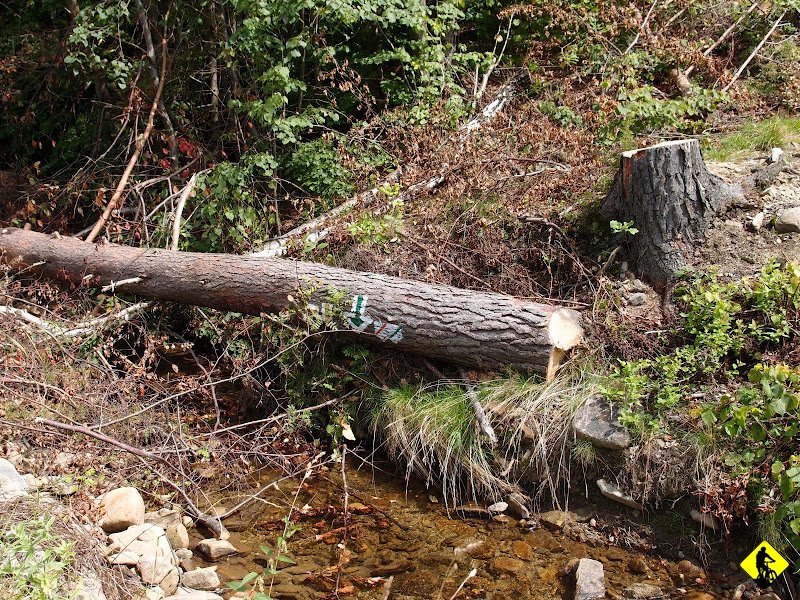 14.JPG - Zdjęć z niebieskiego brak. Sam w sumie nie wiem czemu. W pamięci zapadły bowiem odcinki wąskiej ścieżki, która co rusz zmieniała się beskidzką młóckę po mniej lub bardziej luźnych kamieniach. Sympatyczny.