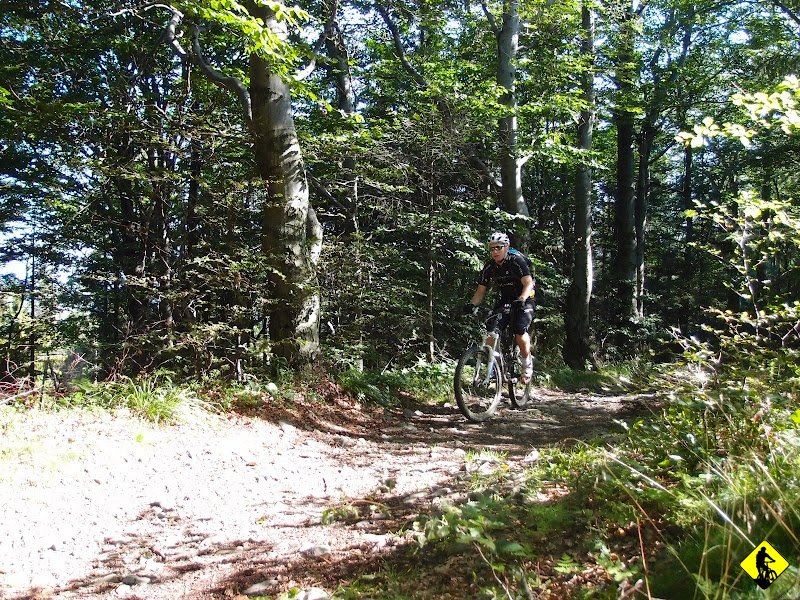 3.JPG - Niebieski szlak jest w około 90-95% do podjechania przez rowerzystę o średniej kondycji i dużej chęci pozostania w siodle...