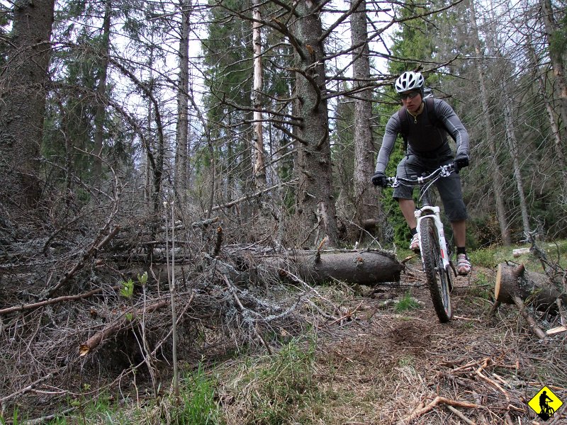 13.JPG - Jest dobrze – Palimy z Jurkiem tarcze z tyłu