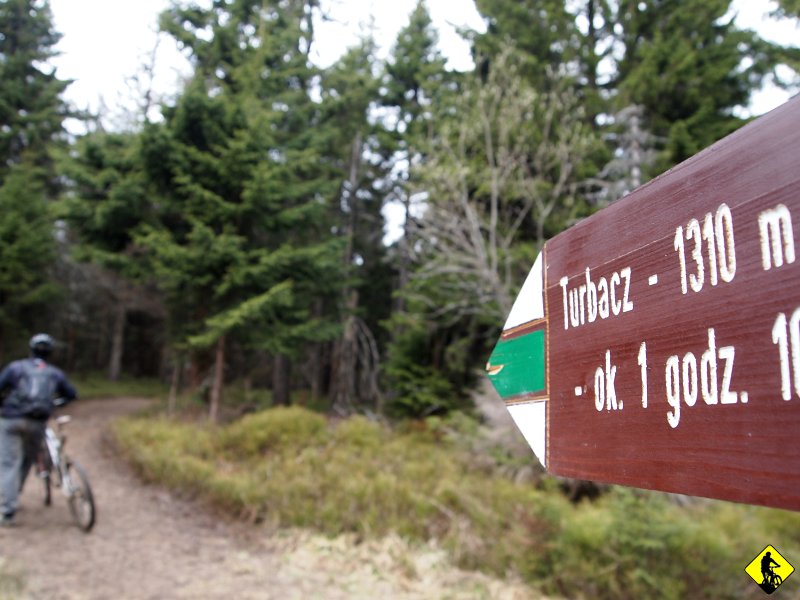 18.JPG - Tempo wyraźnie spadło, słońce zaszło gęstymi chmurami – będzie padać, znowu zimno.