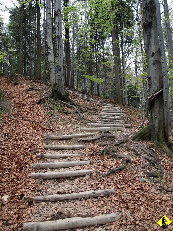 20.jpg - Wydawało mi się, że nic już w Gorcach nie znajdę ciekawego – myliłem się, a dowodem tego jest ta trasa! Nie wiem, czy nawet nie nazwać jej drugim klasykiem Gorców…Było zimno, ale bardzo fajnie – dzięki za wyjazd chłopaki! PoZdRo