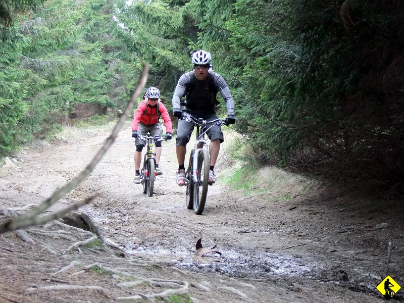4.jpg - Trasa dość sucha, przynajmniej tu na rozjeżdżonych trasach Gorców