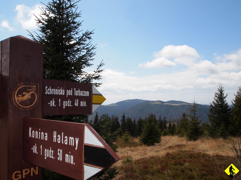 8.JPG - Zrobiło się naprawdę sympatycznie i ciepło. Nieprawdopodobna wręcz zmienność.