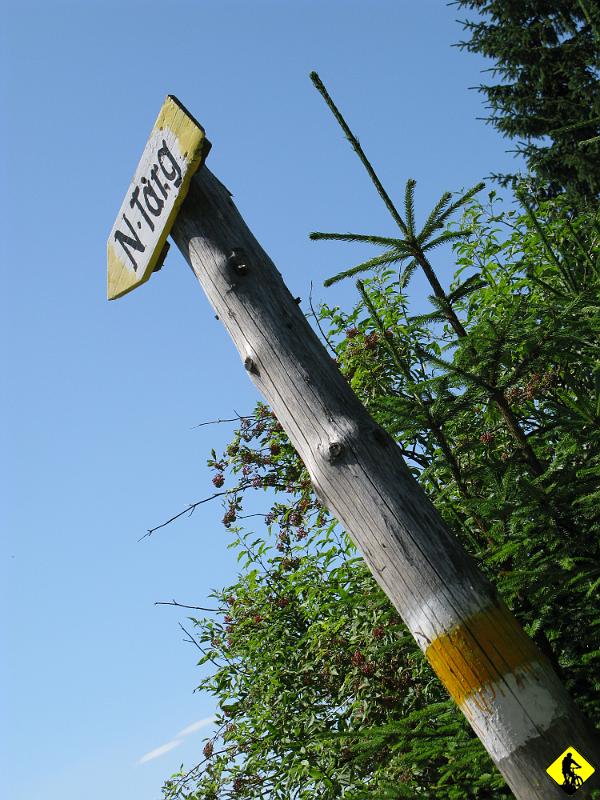 IMG_3086.jpg - Relaksujemy się z 40min i postanawiamy, że jak na początek to wystarczy ;P Wracamy szlakiem żółtym (w całości). Ostatnie kilometry mocno kamieniste, za mocno jak na ich sztywne rowery z mazovii. Na rynku w NT obowiązkowe lody i pakowanie do samochodu.