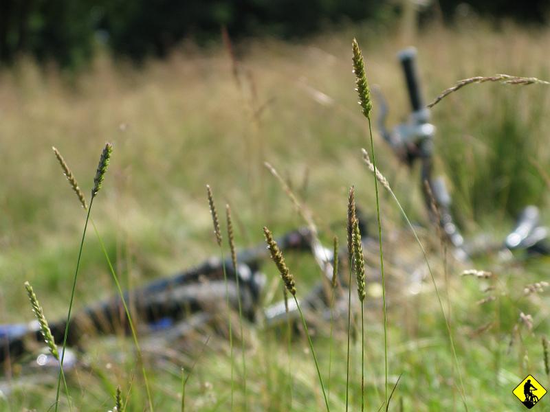 IMG_3121.jpg - Przed schroniskiem nie ma co siedzieć, bo w sumie to w nim nic ciekawego nie ma. Zmykamy w ustronniejsze miejsce, na polankę nad Halą Długą. Mamy ciszę, widoki, spokój. Mamy czas na uporządkowanie myśli.