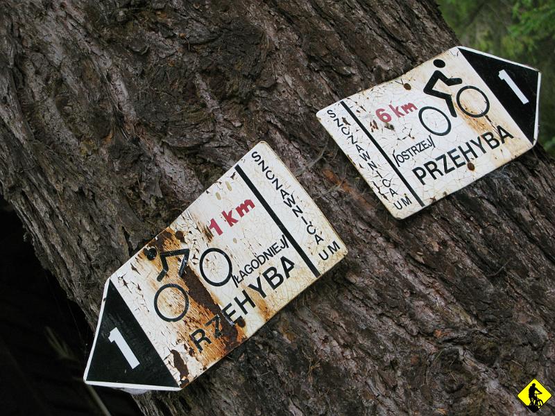 IMG_3195.jpg - Jak już jesteśmy w Szczawnicy to stwierdzamy, że mamy na tyle czasu, by uderzyć na Prze(c)hybę. Wybieramy ten łagodniejszy szlak, który ma mieć ponoć 11km.