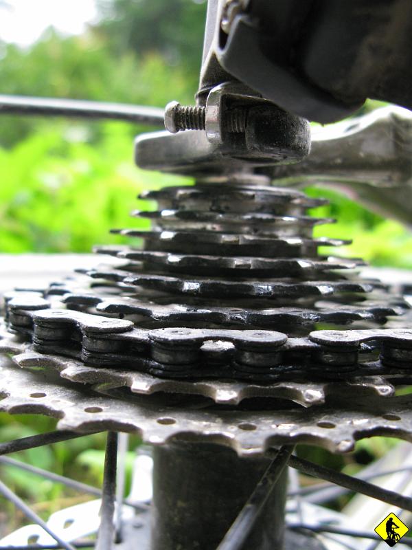 IMG_3228.jpg - W schronisku dowiadujemy się,  że na filet z kuczaka x3 musielibyśmy czekać min 30min. Jako, że jest już późnawo i słychać burzę, która gdzieś wisi oddali, to rezygnujemy z tej przyjemności. Postanawiamy wrócić niebieskim do Rytra i potem asfaltem dokręcić Piwnicznej, gdzie stał samochód.