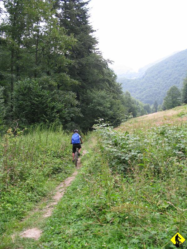 IMG_3234.jpg - Zjazd niebieskim do Rytra trudny, by nie powiedzieć bardzo trudny. Mokro, ostro w dół, kamienie, uskoki. A tak chciałem wrócić do Piwnicznej przez Wielki Rogacz i Niemcową (Failo mówił, że to kolejny miotacz ognia w tej okolicy). Pogoda nas odstraszyła. W piwnicznej wciskamy pizzę i w Krakowie logujemy się przed 22gą. Trzeciego dnia Pokazujemy z Agą chłopakom lasek i dolinę prądnika. Jedziemy też na saunę i jacuzzi. Tak kończy się 3dniowy wypad „Warsiawiaków” do grodu Kraka. Myśle, że się wam bardzo podobało! 3mcie się ciepło. Do zobaczenia w październiku w W-wie.