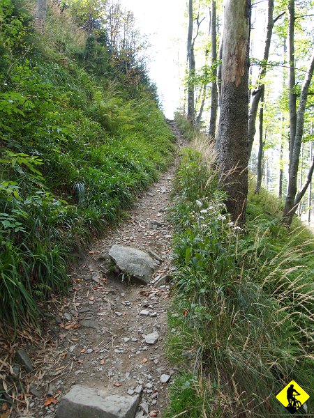 12.jpg - Wracając do zjazdu to zaczyna się kamieniami \ korzeniami na wąskiej ścieżce, a kończy szybszym odcinkiem trawersującym Skalite (też singiel).
