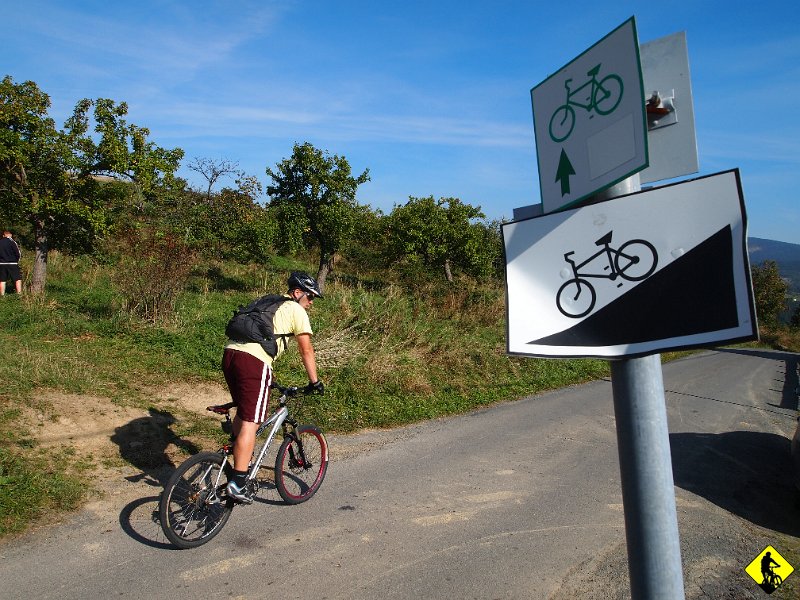 2.JPG - Po krótkiej rozgrzewce rozpłaszczam się z jednej warstwy, Jurek kreci motocyklowe ósemki, a Dżony… Dżony szuka czegoś pod drzewem :)