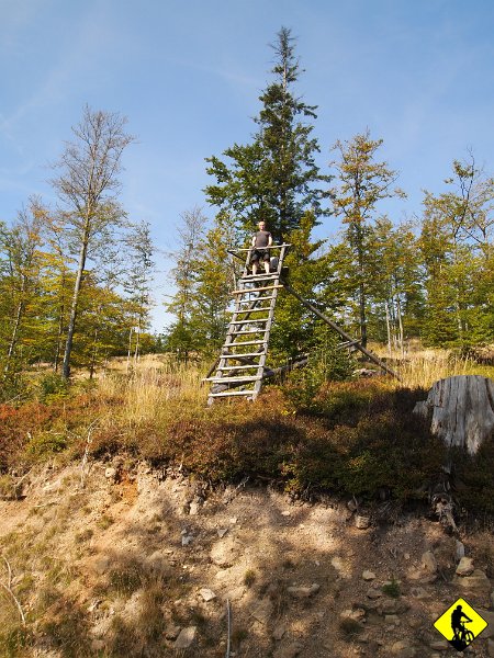 6.jpg - Dżony wypatruje z ambony dzikiej zwierzyny. Bez rezultatów. Może chociaż znajdzie swoje okulary.