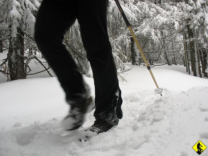 IMG_5427.jpg - Szlak na Turbacz był przetarty dzięki innej grupie z uczelni która podążała lustrzaną trasą do naszej, więc powiedzmy, że pół oni nam, pół my im :)