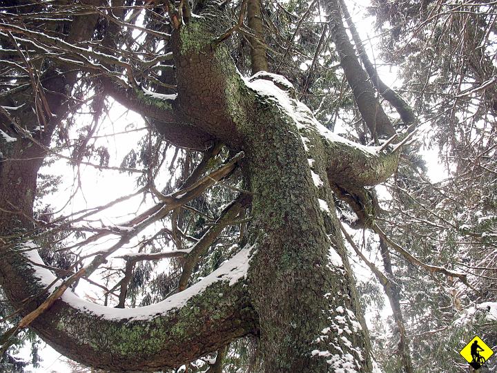 IMG_5436.jpg - Starałem się szukać ciekawych inspiracji do mojego amatorstwa fotograficznego.