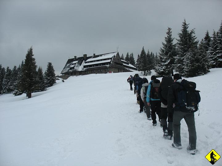 IMG_5464.JPG - Docieramy do schroniska pod Turbaczem po ok 4.5h od Studzionek. Siadam, piję ciepłą herbatkę, jem pozostałości z plecaka i po ok 30 min obracam głowę do okna...