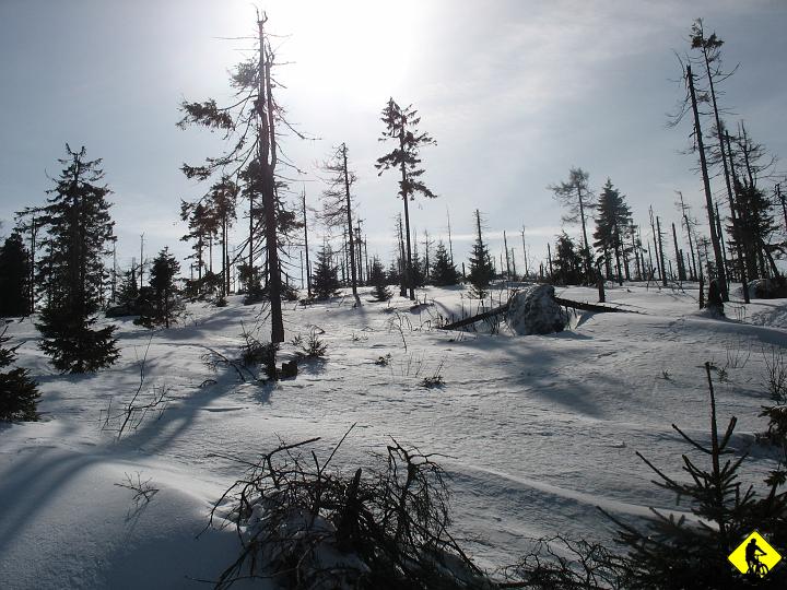 IMG_5576.JPG - Dzień 3 i powrót do N. Targu zielonym szlakiem przez Bukowinę Waksmundzką.