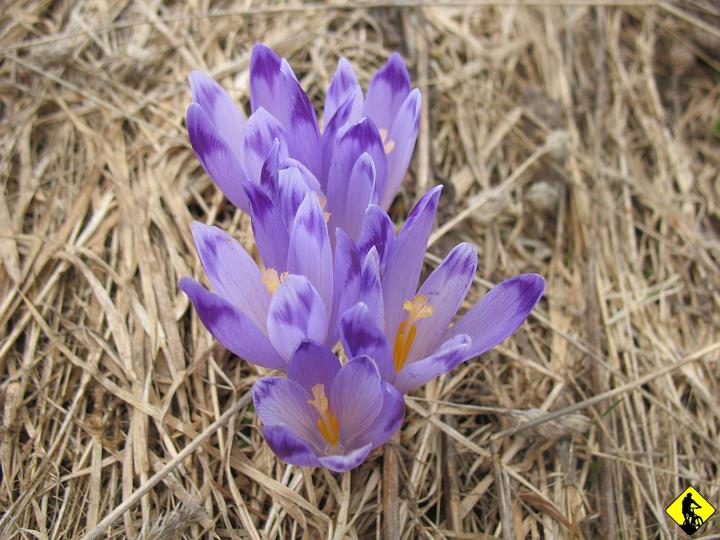 IMG_5590.JPG - Na pożegnanie zdjęcie zatytuowane "nowa nadzieja". KONIEC