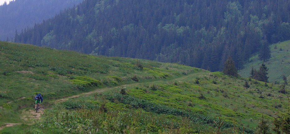 IMG_1121a.jpg - Hale cudowne, ogromne przestrzenie traw kolyszących się na wietrze. Gdyby nie wisząca ciągle nad naszymi głowami burza, to napewno byłaby lepsza fota i więcej wspomnień.