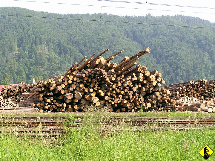 P5310002.jpg - Jeleśna. Kolejna mieścina o której prawdopodobnie nikt by nie usłyszał, gdyby nie to, że jej położenie sprzyja zamknięciu trasy przez Pilsko w kozacką pętlę. Jak się później okazało owa miejscowość z której teraz szydzę, ma całkiem sympatyczny mini ryneczek, na którym powinniśmy pozostawić samochód.