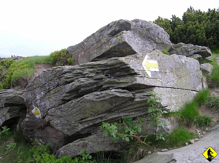 P5310045.JPG - Krajobraz zgoła odmienny od poprzednich wyjazdów.