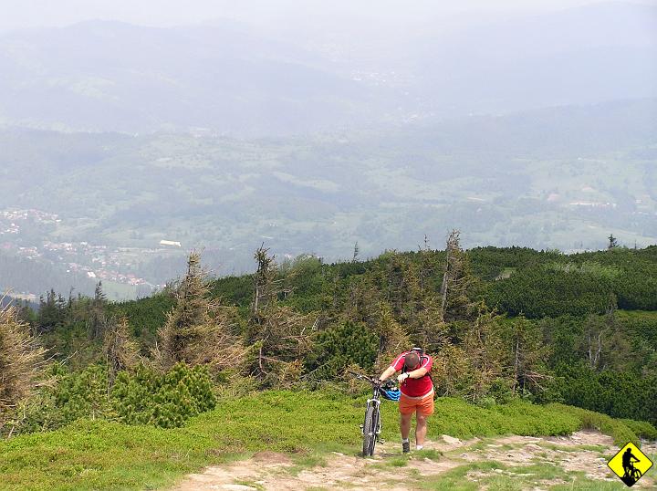 P5310050.jpg - i wysokość