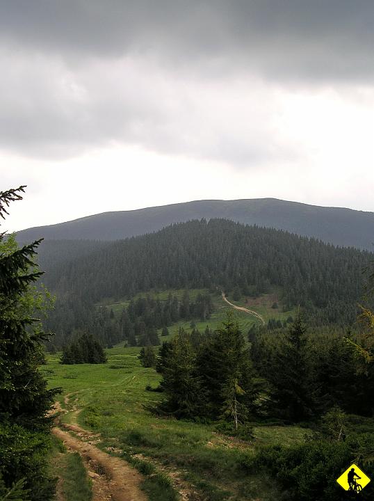 P5310075.jpg - Tu już inna sceneria. Szaro ponuro, Szybkie zjazdy, męczące podjazdy.