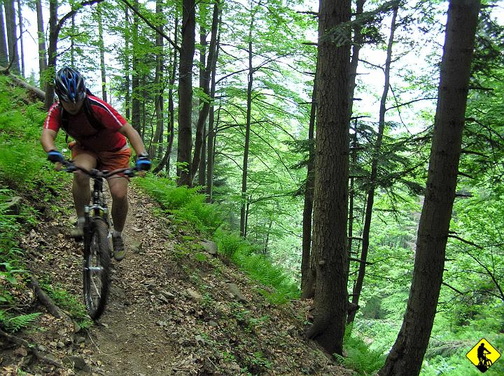 P5310115.jpg - Wybieramy krótsza opcje przez Lachowe Młaki, omijając Schronisko na Hali Boraczej. Tutaj trasa jest bardzo ciekawa. Pojedyńcza ścieżka z wystającymi płaskimi kamieniami sprawdzi na ile czasu potrafisz sie skoncentrować :)
