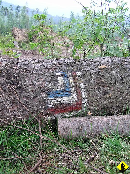 P5310139.jpg - Z Rysianki cały czas w dół. Pogoda jakby troche nam odpuściła, odnosimy wrażenie, że jak ziemniakom z reklamy biedronki: dzisiaj nam się upiecze :P