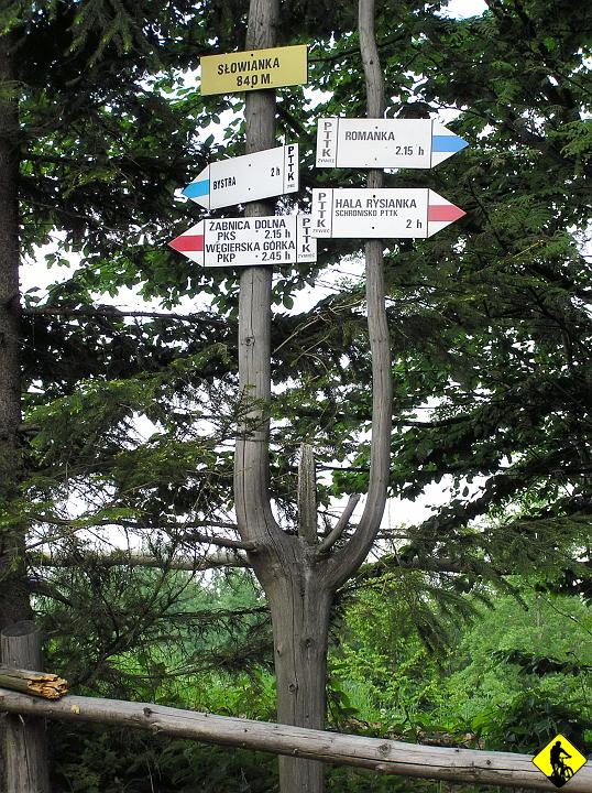 P5310147.jpg - Na Słowiance nawet nie stajemy. Jesteśmy najedzeni (Jurek zrelacjonował, że kiełbasa zjedzona na Rysiance furory nie robi, raczej ujdzie w tłumie). Tutaj zaczyna się magiczny OeS do Bystrej niebieskim. 
 To najlepszy singiel jakim jechałem w mojej krótkiej, ale jakże burzliwej karierze :P naprawde! Jak nim nie jechałeś, to jedź z kimś tam koniecznie. Wąska ścieżka mieszcząca tylko jeden rower, jedną osobę, wije się wydawałoby się w niekończoność w dół, przecinając górskie strumyki i drogi zwózki drewna, raz w lesie, raz na małej polance! Miazga dla zmysłów Bikera :P
