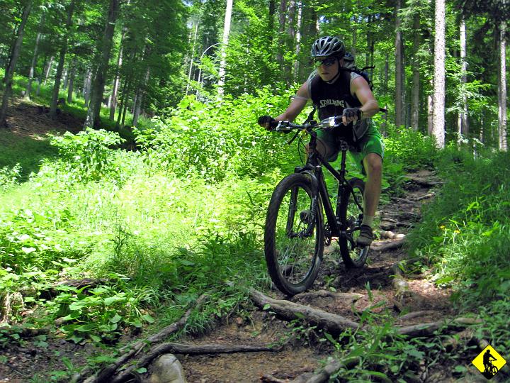 IMG_1211a.jpg - Dobra, przyznam się. Ustawiana fota. Naprawde, to podążaliśmy w drugim kierunku, ale Cyborgi bawiły się w paparazzi to i ja skorzystałem. Ale fajnie wyszło.